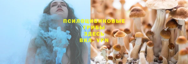 синтетический гашиш Алексеевка